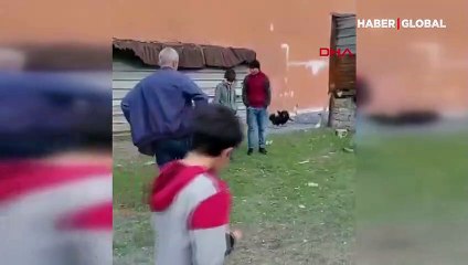 Göç yolunda yorgun düşen kızıl akbaba İstanbul'a indi