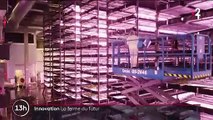 Innovation : inauguration de la ferme du futur au Danemark