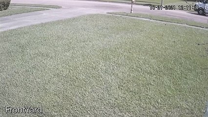 Delivery Guy Lets Package Fly