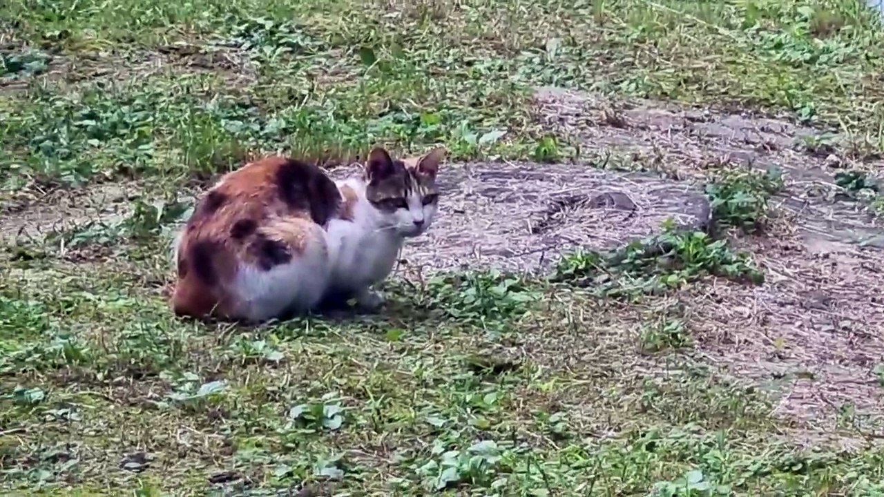 ぼうとした顔で休みをする