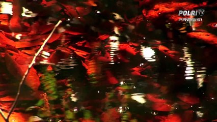 Di Depan Pemimpin Dunia, Presiden Jokowi Sampaikan Cara Kelola Hutan