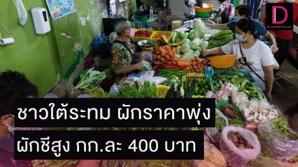 ชาวใต้ระทม ผักราคาพุ่ง ผักชีสูง กก.ละ 400 บาท | ชนคลิปข่าว 03//164 เดลินิวส์