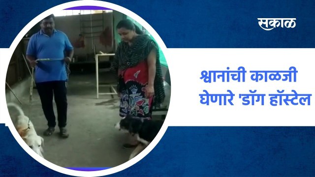 Kolhapur ; कोल्हापुरात श्वानांची काळजी घेणारे 'डॉग हॉस्टेल' ; पाहा व्हिडीओ