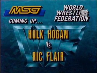 Hulk Hogan vs. Ric Flair (1991-11-30)