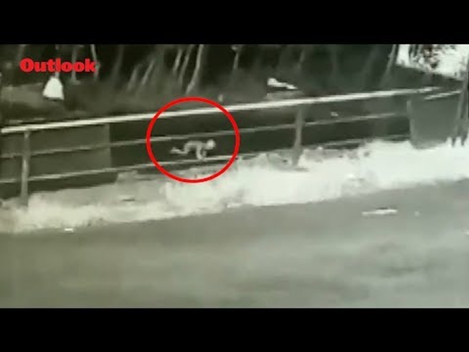 Toddler Falls From Moving Jeep In Dense Forest, Crawls To Safety In Kerala