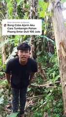 TIKTOK VIRAL ! SALAM DARI BINJAI " BANG COBA AJARIN AKU PUKUL "