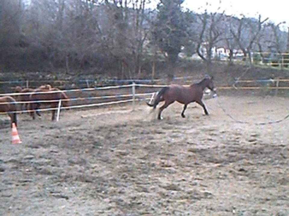 séance longe 25 fev 2008