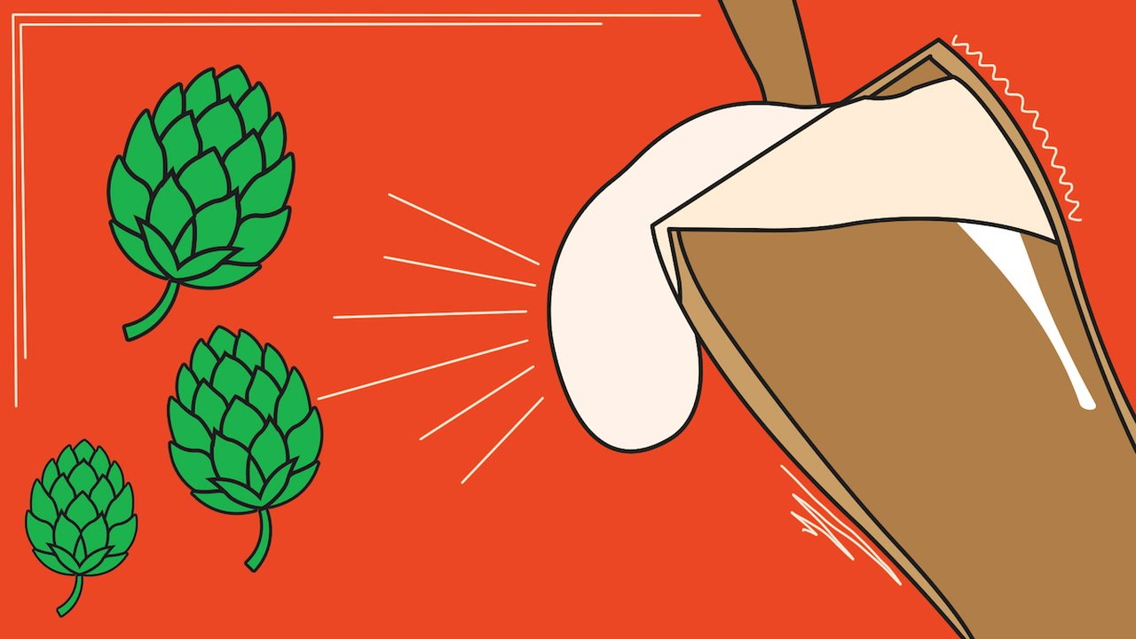 The History of the IPA