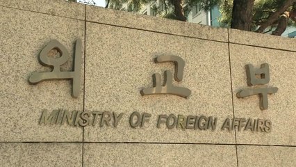 외교부 "위안부 문제 고문방지위 회부, 신중히 검토" / YTN
