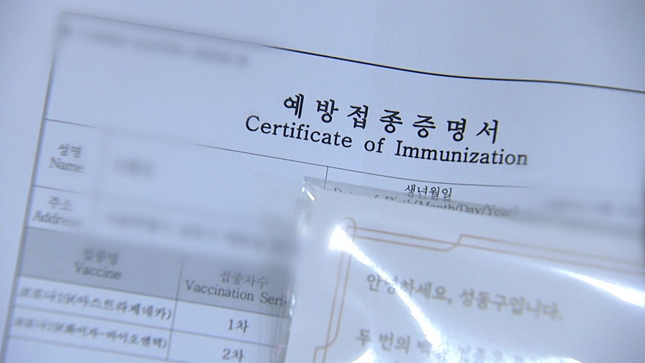 "백신패스 안착 시간 걸릴 듯...계도 기간 운영 검토" / YTN