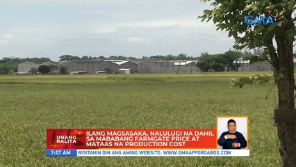 Ilang magsasaka, nalulugi na dahil sa mababang farmgate price at mataas na production cost | UB