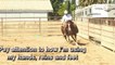 Horse Training Tips for Flying Lead Changes - Reining Horse Training for Flying