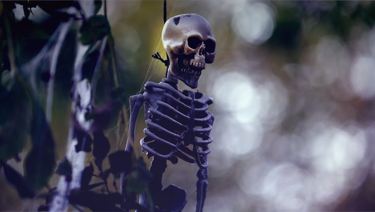 The science of getting scared