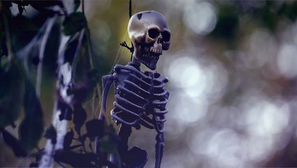 The science of getting scared