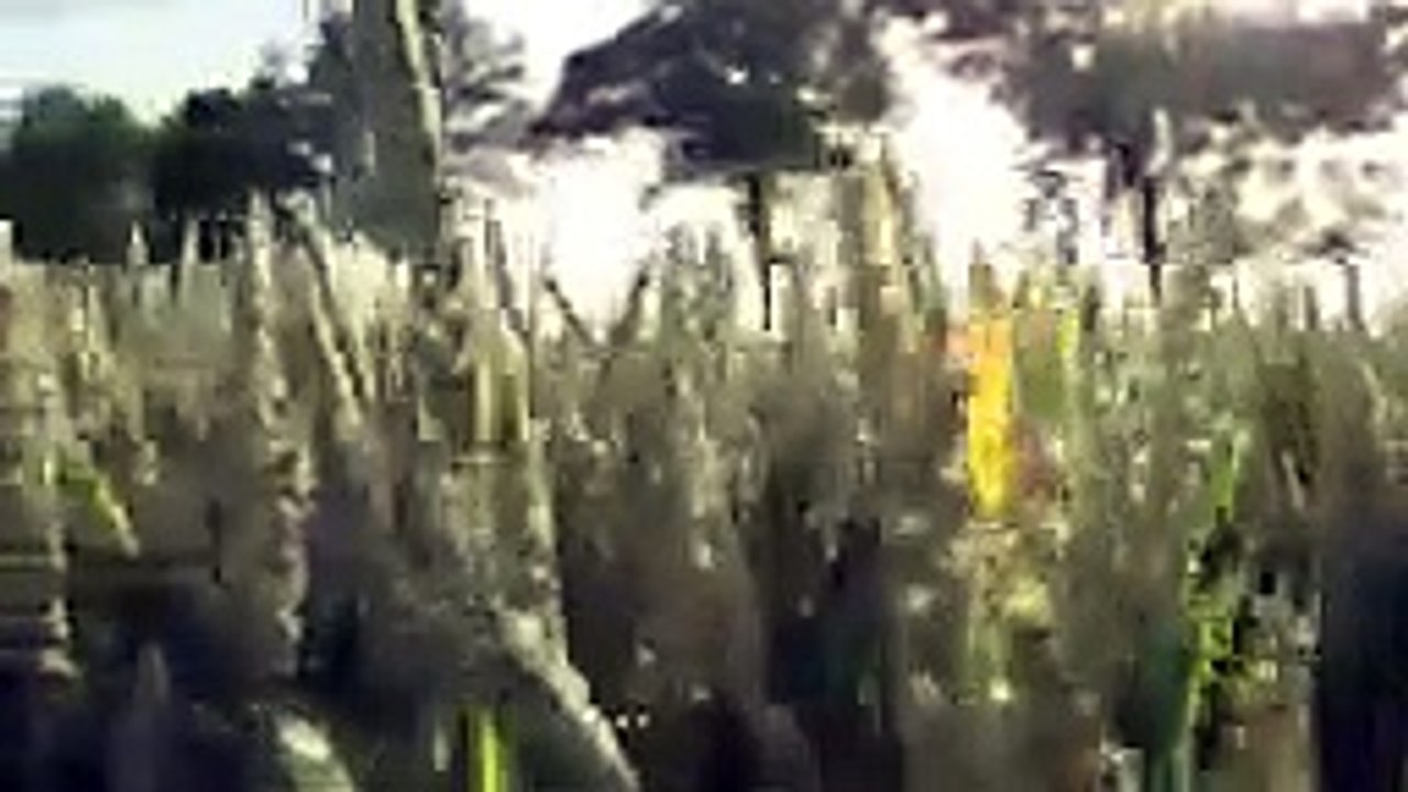 Relaxing music  Soft Healing Calm Sleep Yoga Study Meditation Peaceful Music