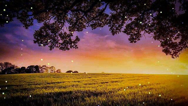 Peaceful relaxing instrumental music quiet soft meditation music