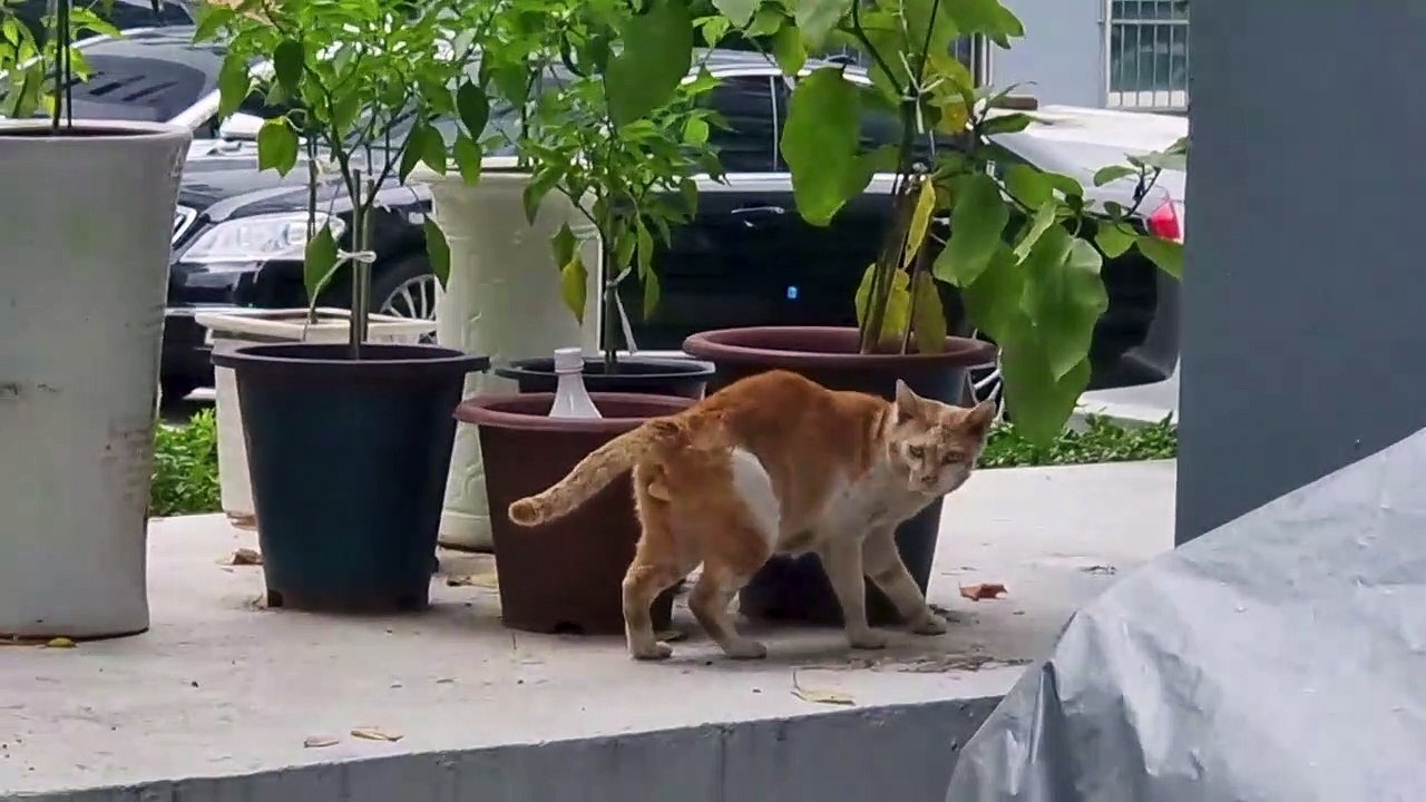 遂に家族を見つけたお父さん