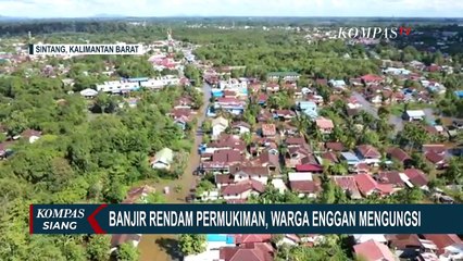 Hujan Terus Menerus, Banjir Rendam 12 Kecamatan di Sintang