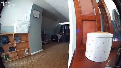 Curious Kitty Investigates New Camera