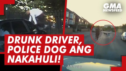 Drunk driver, police dog ang nakahuli! | GMA News Feed