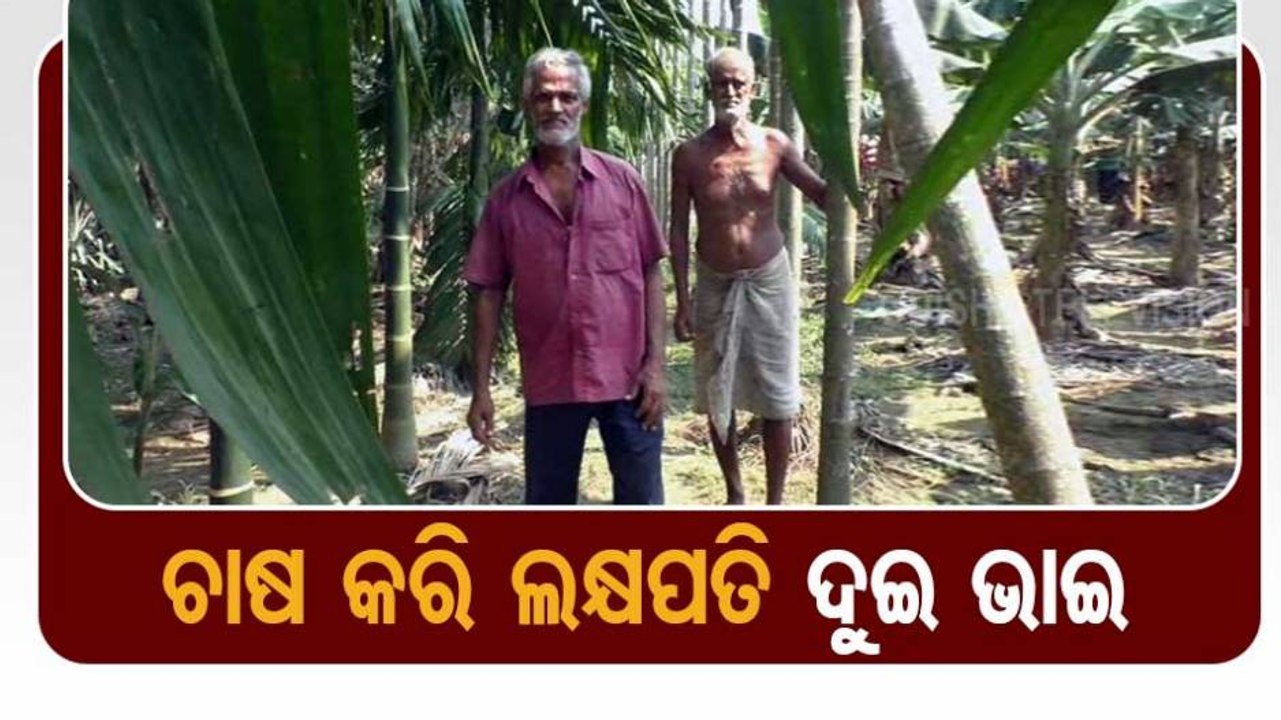 Odisha Farmers Scripts Success Story With Their Farming Skills