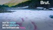 Cette neige rose liée à une algue menace les glaciers