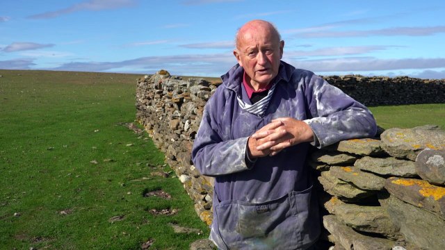 Aux Orcades, le régime aux algues des moutons fait saliver les climatologues