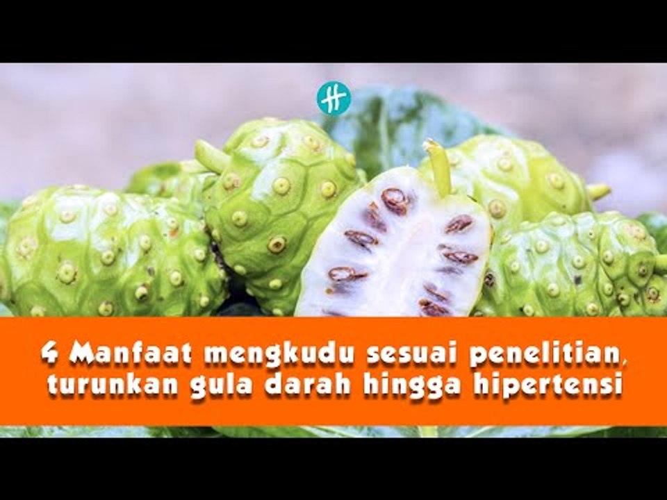 4 Manfaat mengkudu sesuai penelitian, turunkan gula darah hingga hipertensi