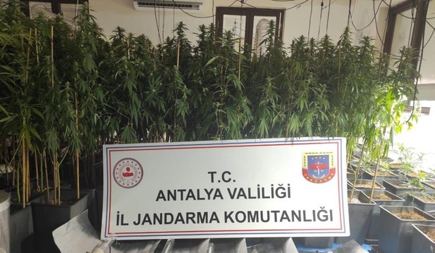 Firari kardeşler saklandıkları villaları uyuşturucu serasına çevirmiş