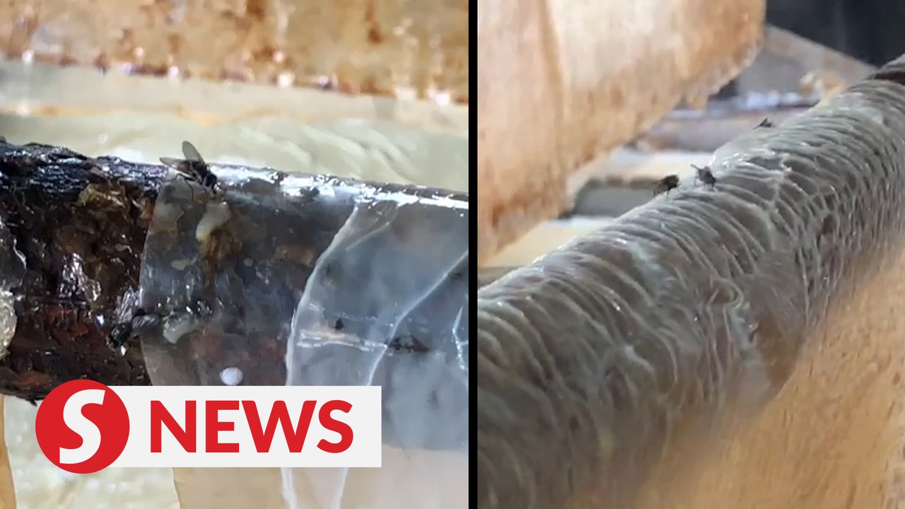 Rat droppings, flies infest 'foo chuk' factory