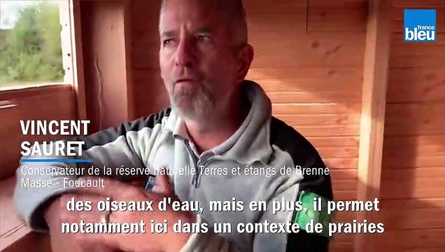 Nouvel observatoire sur la réserve naturelle régionale Terres et étangs Massé-Foucault