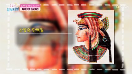 ❛이것❜으로 간단하게 단백질 섭취하자↗ TV CHOSUN 211027 방송