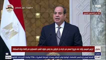 السيسي: اتفقنا خلال المباحثات مع الرئيس الروماني على ضرورة التعاون في مكافحة الهجرة غير المشروعة