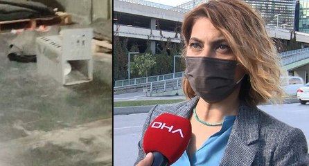 AVM’deki ‘kedi kapanı’ tepkisi! Polis el koydu