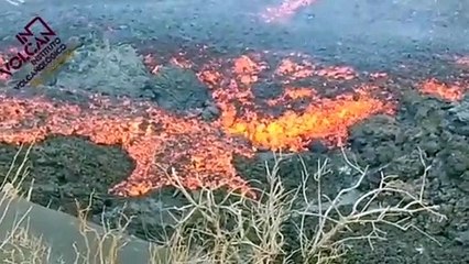 La lava afecta ya a más de 908 hectáreas en La Palma