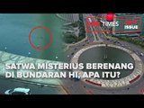 SATWA MISTERIUS BERENANG DI BUNDARAN HI, APA ITU?