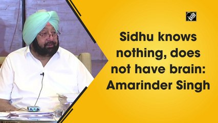 Sidhu knows nothing, does not have brain: Amarinder Singh