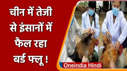 China में तेजी से फैल रहा Bird Flu, तेजी से बदलता Variants बना मुसीबत! | वनइंडिया हिंदी