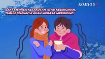 Apa yang Menyebabkan Tubuh Jadi Merasa Merinding? Ini Penjelasan Ilmiahnya