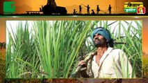 चीनी निर्यात (Sugar Export) सब्सिडी (Subsidy) पर केंद्र सरकार (Govt Of India) ने लिया बड़ा फैसला, जल्द गन्ना किसानों (Sugarcane Farmer) के बकाये का भुगतान कर सकती है चीनी मिलें | Kisan Bulletin | Green TV