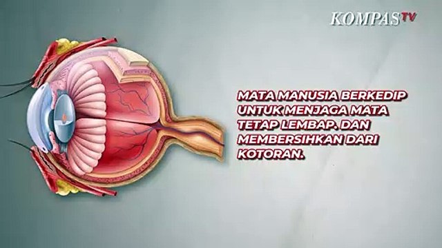 Bagaimana jika Mata Kita tidak Berkedip?