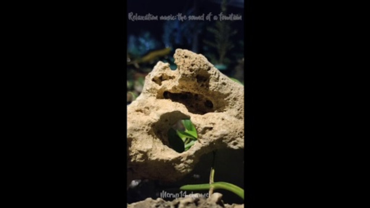 Relaxation music: the sound of a fountain