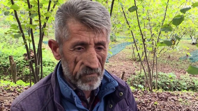 Жалобы на монополию Ferrero в Турции