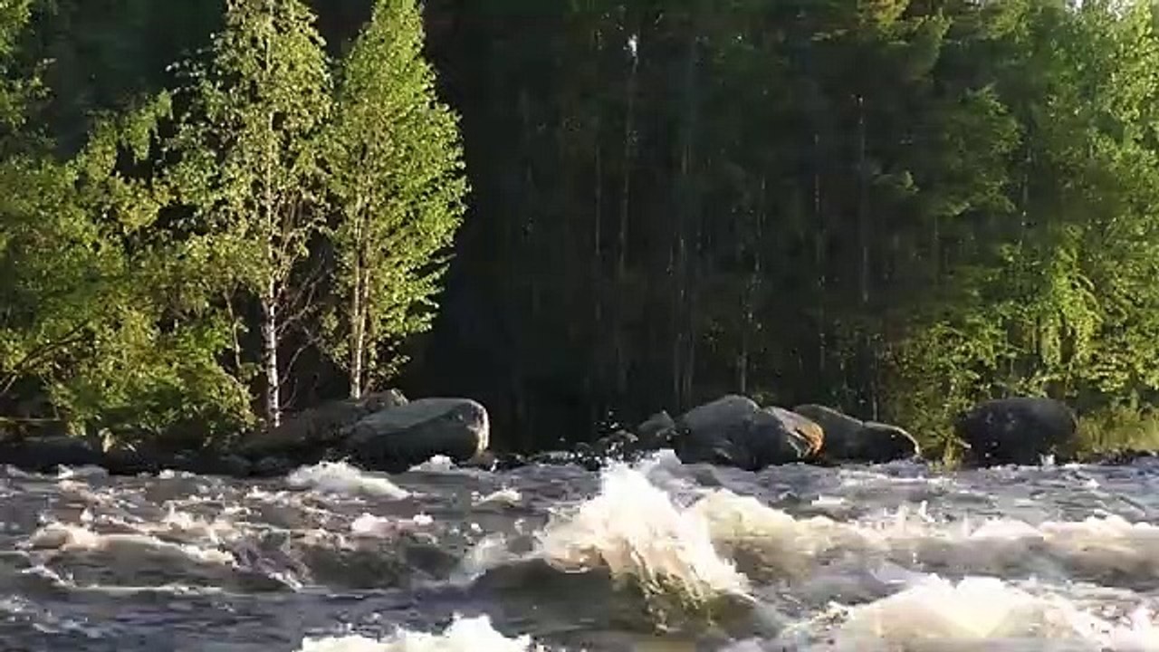 Venkatesananda Meditation Music. Relaxing Music. Stress Relief. Study Music, Jesse Gallagher