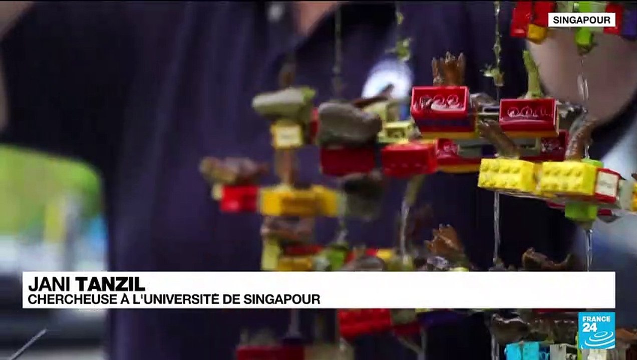 COP26 : tour du monde d'initiatives écologiques insolites