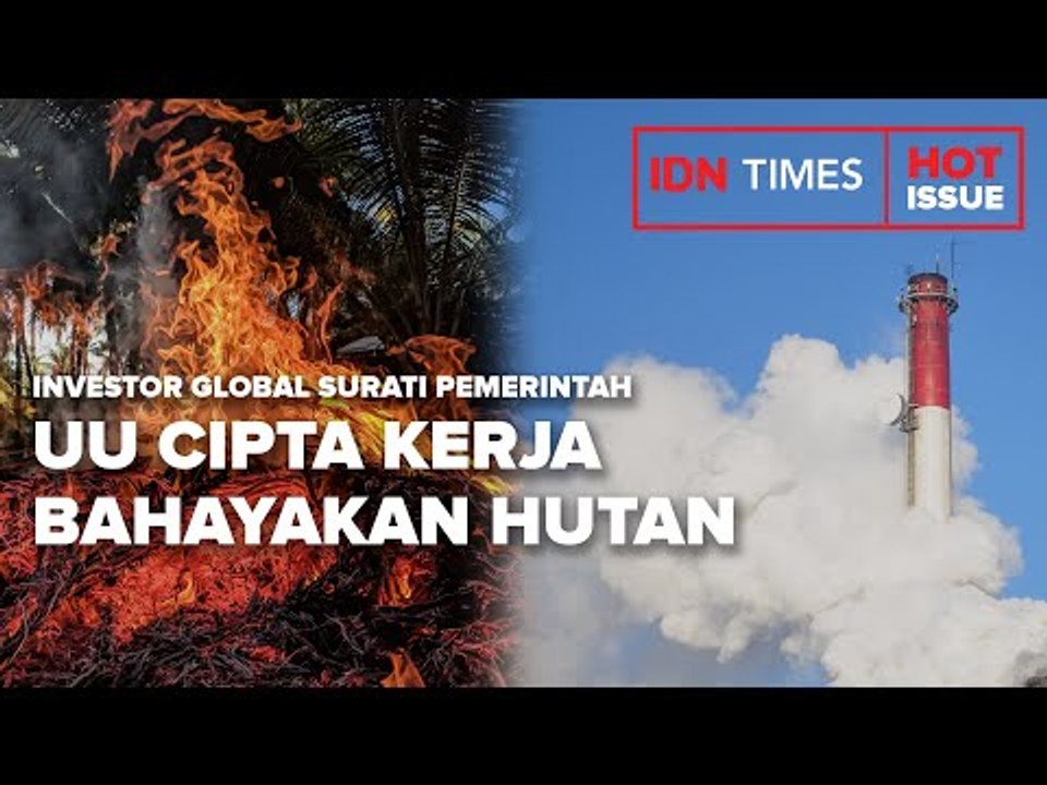 INVESTOR GLOBAL SURATI PEMERINTAH SOAL UU CIPTA KERJA BAHAYAKAN HUTAN