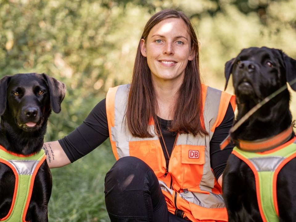 Spürnasen gefragt: Deutsche Bahn stellt Hunde ein
