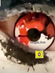 أبرار الكويتية تحتفل بالهالوين بإطلالة صادمة