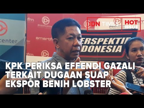 KPK PERIKSA EFFENDI GAZALI TERKAIT DUGAAN SUAP EKSPOR BENIH LOBSTER