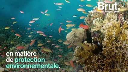 Récif de Tubbataha : un succès en matière de protection environnementale